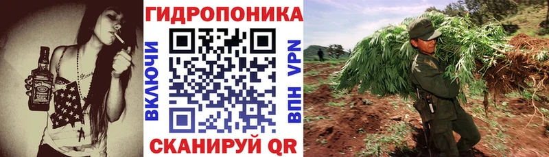 Бошки марихуана гибрид  Купить закладки  Яхрома 